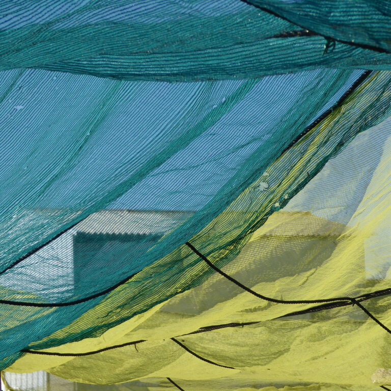 ifabout-oystory-velum 1 -©isabelfaustinophoto